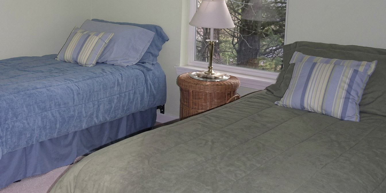 Bedroom with two extra-long twin beds